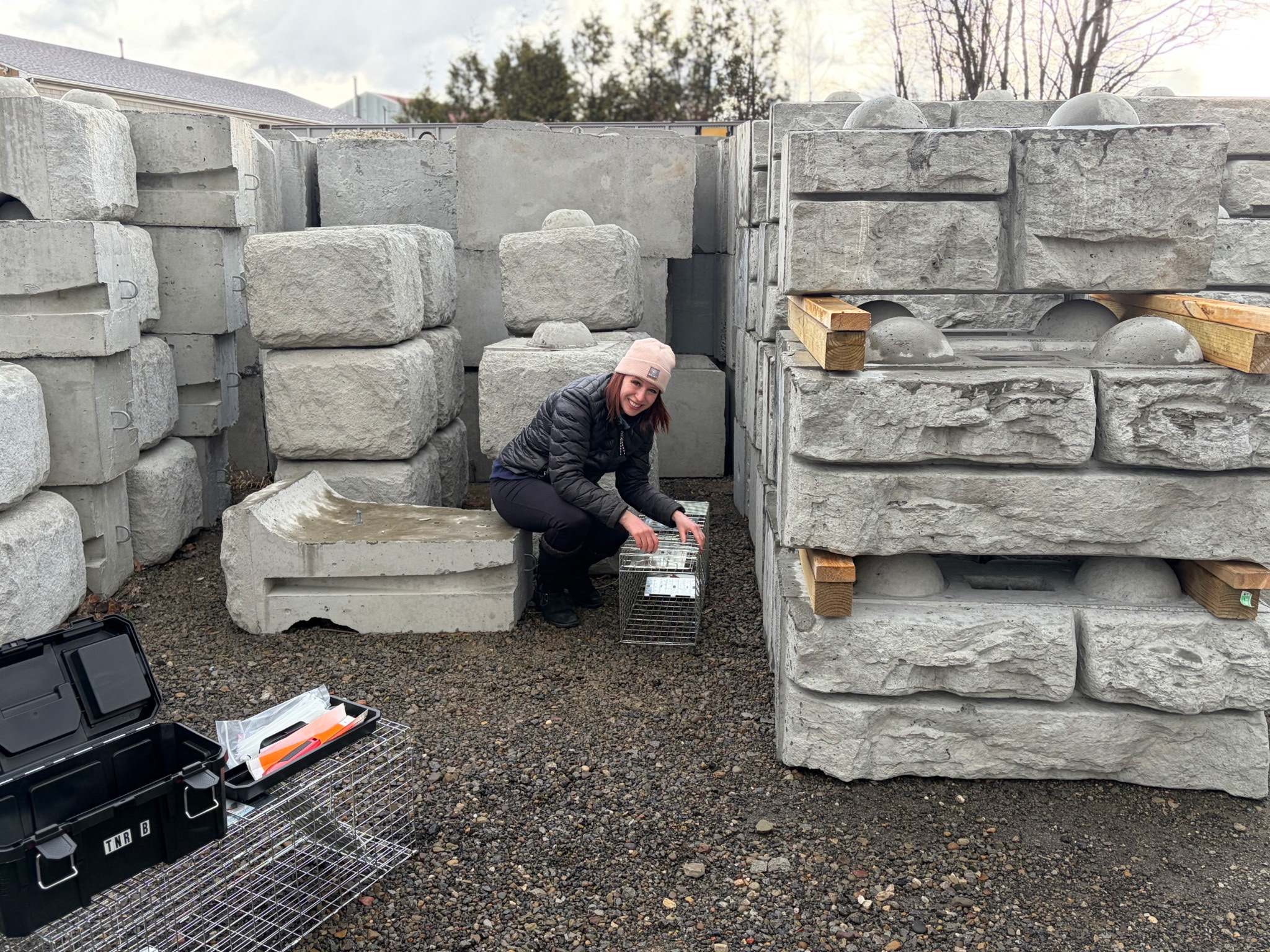 Helen setting humane traps in the field 
